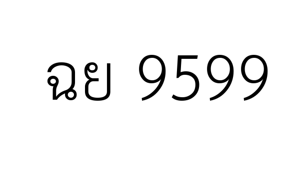 ฉย 9599